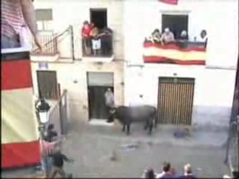Taureau en Espagne ; encierro