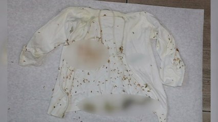 "내가 아이 버렸다" 자수해 DNA 검사했더니 '황당' / YTN