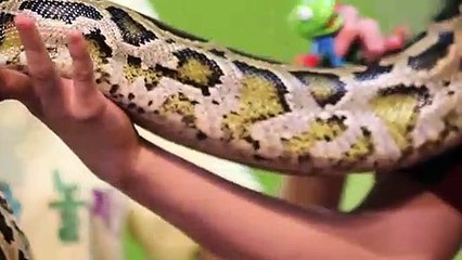 신시가지출장안마 -후불100%ョ OiOW2671W8135｛카톡LA369｝ 신시가지전지역출장안마 신시가지오피걸 신시가지출장마사지 신시가지안마 신시가지출장마사지 신시가지콜걸샵ぜそた