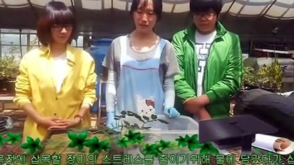 거창출장타이O7Oy7575y0069｛카톡RD654｝ぱ거창출장안@마ぱ거창출장샵ぱ거창출장맛사지 ぱ거창출장걸썰 거창출장걸가격 거창출장러시아 거창외국인후불출장업소 거창24시출장마사지샵'예약ュユョ