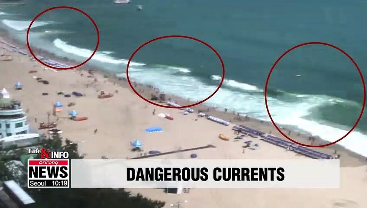 Summer beachgoers advised to check rip current forecasts