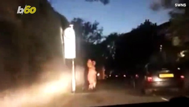 Des policiers poursuivent un dinosaure