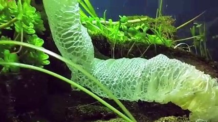 금산출장안마 -후불100%ョOiOc2659c1768｛카톡SN92｝ 금산전지역출장안마 금산오피걸 금산출장마사지 금산안마 금산출장마사지 금산콜걸샵≪≫√