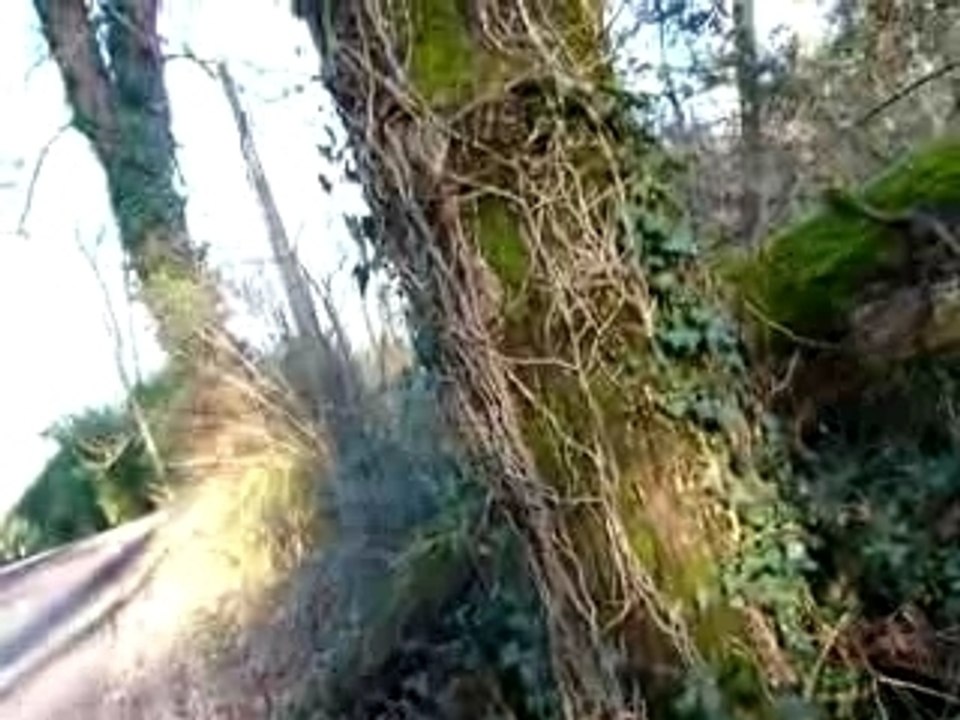 P1010131