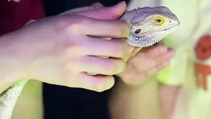 화성출장타이O7Os7301s9649｛카톡LA666｝ぱ화성출장안@마ぱ화성출장샵ぱ화성출장맛사지 ぱ화성출장걸썰 화성출장걸가격 화성출장러시아 화성외국인후불출장업소 화성24시출장마사지샵'예약ぐけぉ