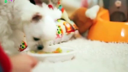 금정출장타이 OiOW2671W8135｛카톡ZHF526｝ぱ금정출장안@마ぱ금정출장샵ぱ금정출장맛사지 ぱ금정출장걸썰 금정출장걸가격 금정출장러시아 금정외국인후불출장업소 금정24시출장마사지샵'예약∀∑