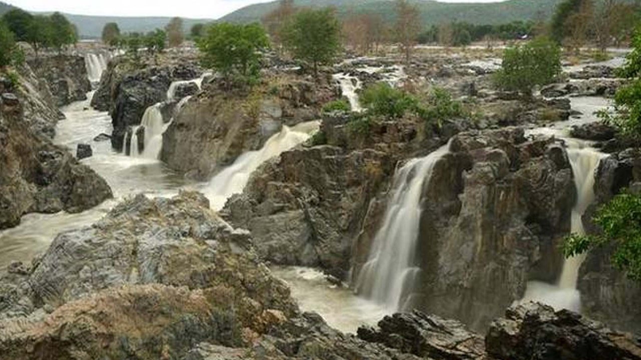 Cauvery Opened | துள்ளிகுதித்து மேட்டூர் அணையை வந்தடைந்தது காவிரி நீர்- வீடியோ