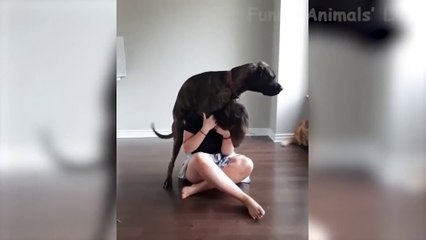 Funniest  Cats And Dogs - Awesome Cute Pet Animals' Life