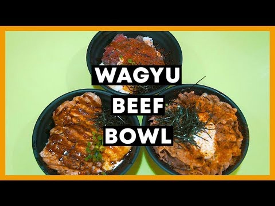 Affordable 10 Wagyu Beef Japanese Rice Bowl Kinobe video Dailymotion
