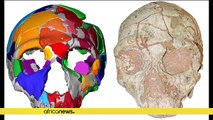 Grèce : un crâne d'Homo sapiens qui daterait de 210.000 ans découvert