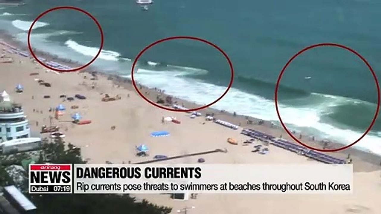 Summer beachgoers advised to check rip current forecasts
