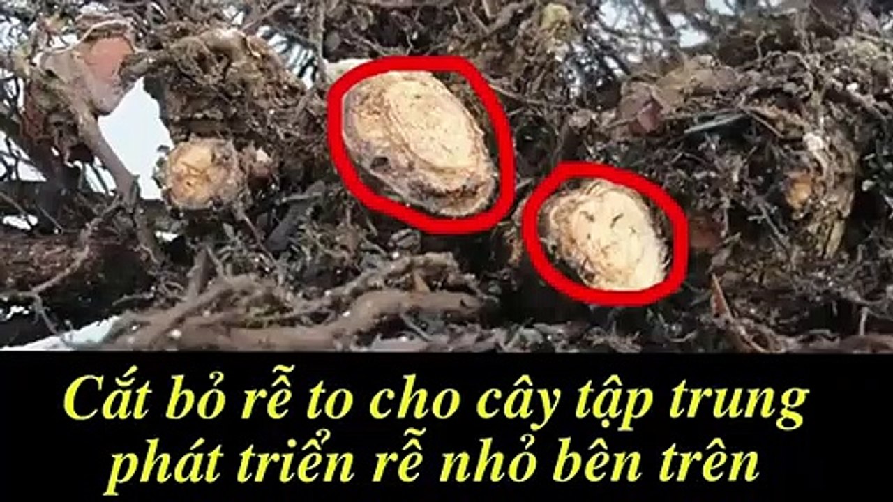 부산출장안마 -후불100%ョOiOE7362E3210｛카톡VR91｝ 부산전지역출장안마 부산오피걸 부산출장마사지 부산안마 부산출장마사지 부산콜걸샵∀∑
