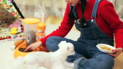 금정출장안마 -후불100%ョOiOy2997y5327｛카톡KC789｝ 금정전지역출장안마 금정오피걸 금정출장마사지 금정안마 금정출장마사지 금정콜걸샵ノハバ