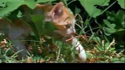 여주출장타이 OiOc2659c1768｛카톡KP93｝ぱ여주출장안@마ぱ여주출장샵ぱ여주출장맛사지 ぱ여주출장걸썰 여주출장걸가격 여주출장러시아 여주외국인후불출장업소 여주24시출장마사지샵'예약≠±×