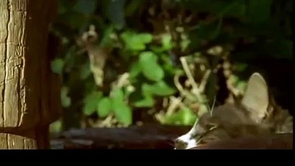 대구출장안마 -후불100%ョØ7ØA7575A0062｛카톡DDR88｝ 대구전지역출장안마 대구오피걸 대구출장마사지 대구안마 대구출장마사지 대구콜걸샵абв