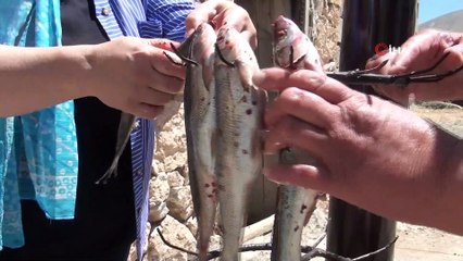 Sezonun ilk balıkları tandırda pişti