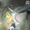 Chine: Les pompiers sauvent un petit garçon de trois ans tombé dans un puits