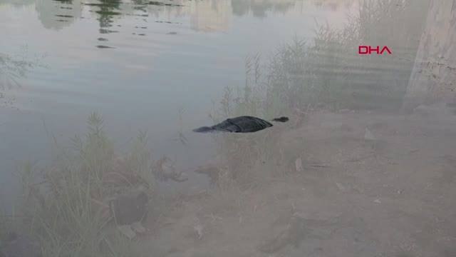 ADANA SEYHAN NEHRİ'NDE KADIN CESEDİ BULUNDU