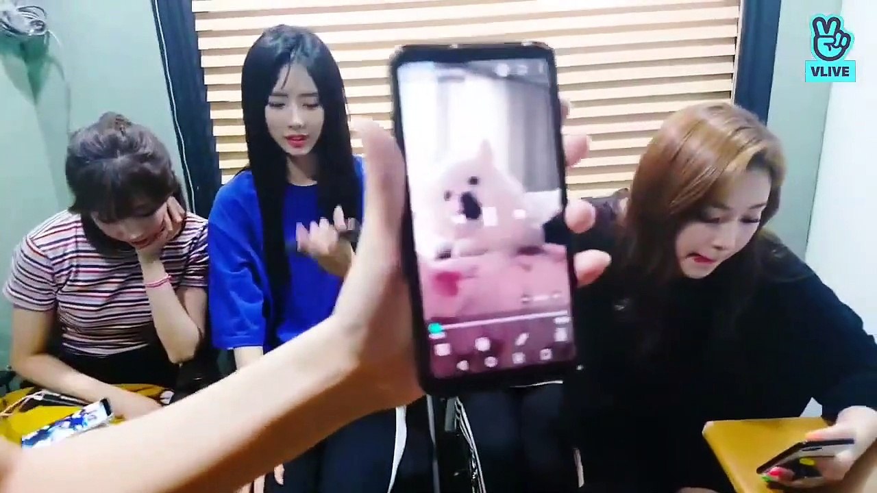 [VIETSUB - CC] A True Dog Lover Kim JiU