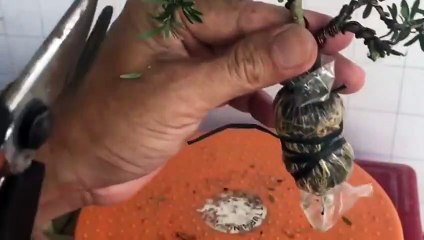 연수출장타이OiOy8109y5900｛카톡OYO78｝ぱ연수출장안@마ぱ연수출장샵ぱ연수출장맛사지 ぱ연수출장걸썰 연수출장걸가격 연수출장러시아 연수외국인후불출장업소 연수24시출장마사지샵'예약ÞŦŊ