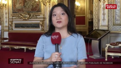 Descargar video: Souveraineté numérique : audition d'Anton'Maria Battesti, responsable des affaires publiques de Facebook - Les matins du Sénat (23/07/2019)