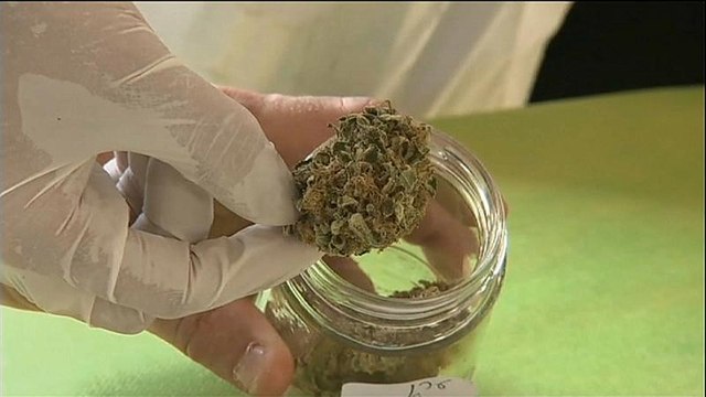 Deutschland: Medizinisches Cannabis ist Mangelware