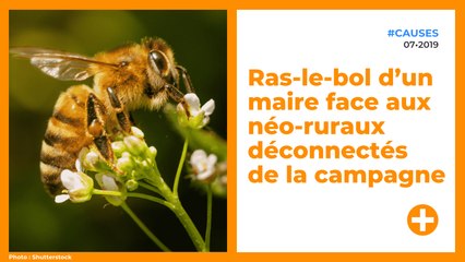 Ras-le-bol d’un maire face aux néo-ruraux déconnectés de la campagne