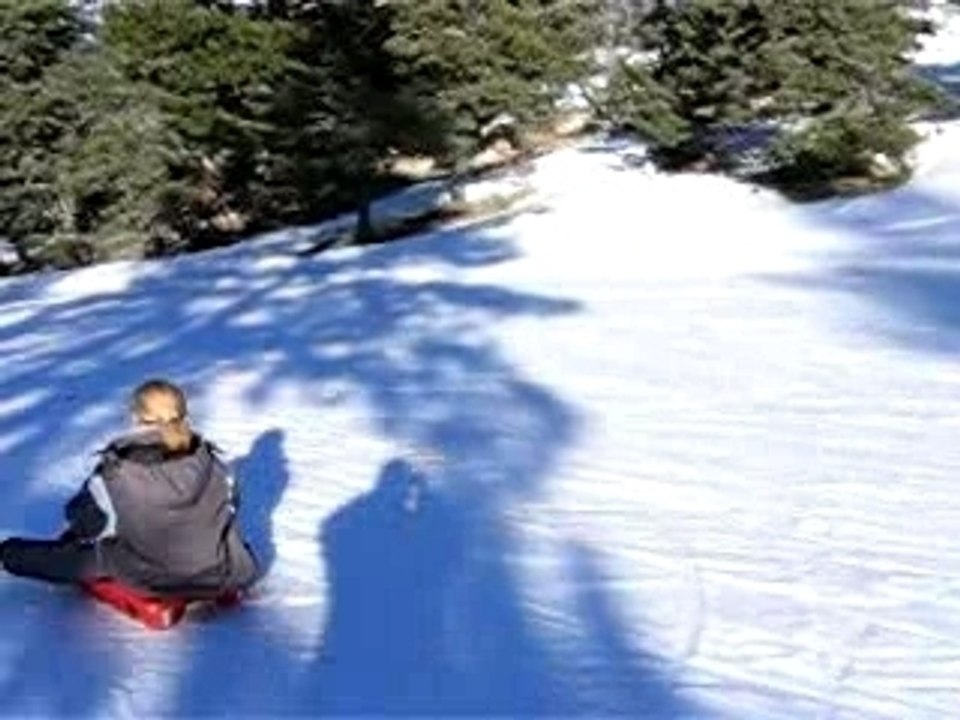 luge
