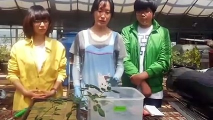 홍천출장타이Ø7ØA7575A0062｛카톡DDR88｝ぱ홍천출장안@마ぱ홍천출장샵ぱ홍천출장맛사지 ぱ홍천출장걸썰 홍천출장걸가격 홍천출장러시아 홍천외국인후불출장업소 홍천24시출장마사지샵'예약∠⊥≤