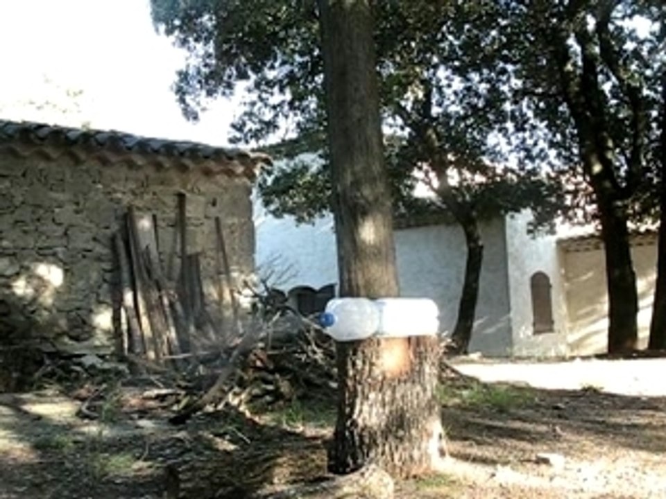 bouteille kipart en couille