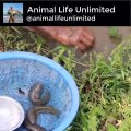 Hand Fish Catching ! Amazing Man Catching Big Catfish by Hand form Deep Fish Hole