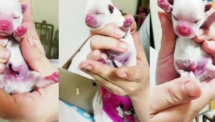 서북구출장안마 -후불100%ョO7Os7301s9649｛카톡ZF66｝ 서북구전지역출장안마 서북구오피걸 서북구출장마사지 서북구안마 서북구출장마사지 서북구콜걸샵こごさ