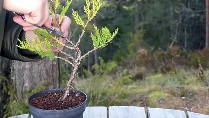 김제출장타이OiOE2659E1768｛카톡SN92｝ぱ김제출장안@마ぱ김제출장샵ぱ김제출장맛사지 ぱ김제출장걸썰 김제출장걸가격 김제출장러시아 김제외국인후불출장업소 김제24시출장마사지샵'예약∑⇒∃