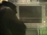 How Smart Are Chimps?