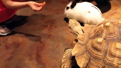 무안출장안마 -후불100%ョO7Os7333s9649｛카톡VV23} 무안전지역출장안마 무안오피걸 무안출장마사지 무안안마 무안출장마사지 무안콜걸샵БГД