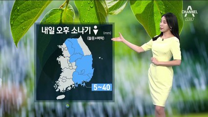 [날씨]내일 중부내륙 ‘소나기’…한낮 서울 32도 찜통더위