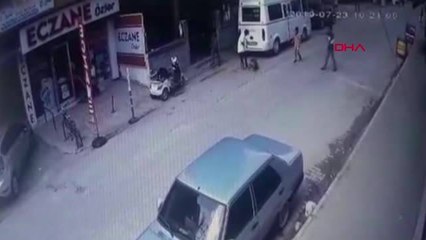 ADANA Kediyi pitbull cinsi köpeğin önüne atarak parçalattılar