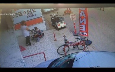 Hamile kediyi Pitbul'un ağzına böyle attı! Saniyeler içinde parçaladı