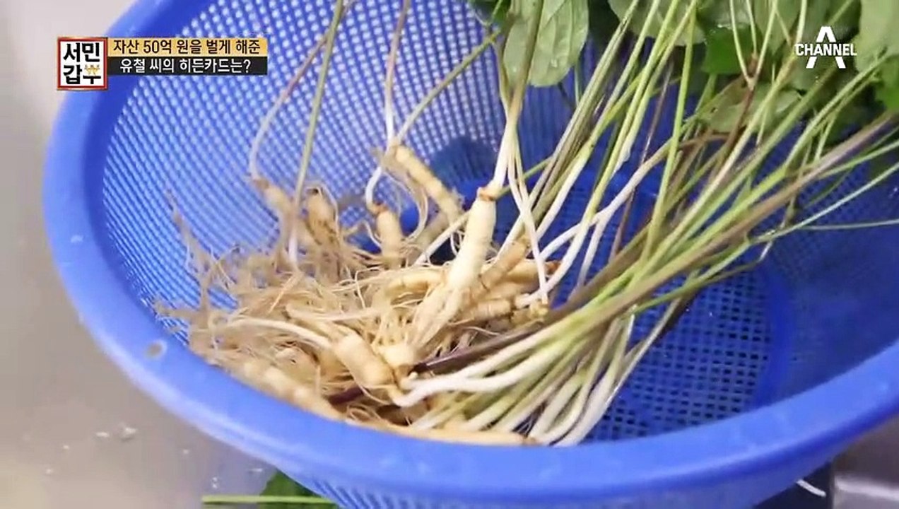 산양삼을 판매하는 방법! 산양삼이 통째로 들어간 여름철 최고의 보양식 [산양삼 삼계탕]