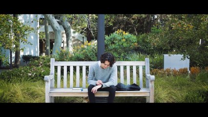 How Do Birds Fly From Right To Left