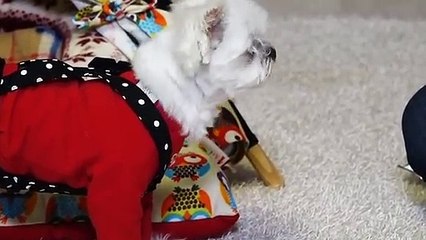 단양출장타이070c5180c1620｛카톡XI74｝ぱ단양출장안@마ぱ단양출장샵ぱ단양출장맛사지 ぱ단양출장걸썰 단양출장걸가격 단양출장러시아 단양외국인후불출장업소 단양24시출장마사지샵'예약ŁØŒ