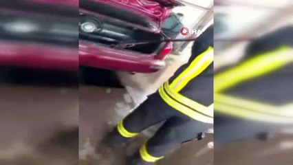 Otomobilin bagajından yılan çıktı