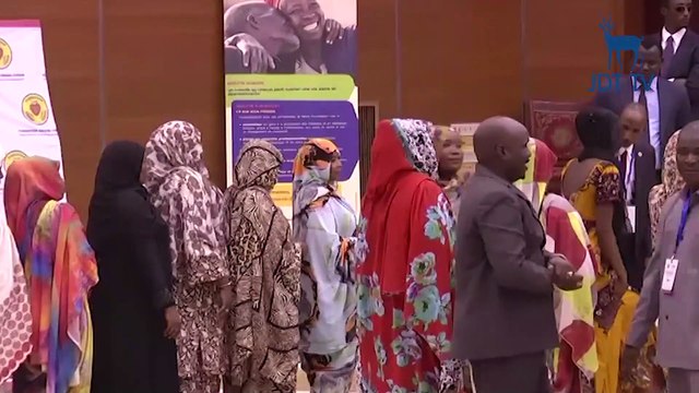 Au Tchad, Etat et ONG ensemble contre la stigmatisation des femmes stériles