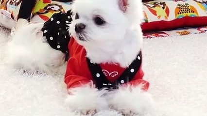 공주출장안마 -후불100%ョOiOs2671s8135｛카톡AQ52｝ 공주전지역출장안마 공주오피걸 공주출장마사지 공주안마 공주출장마사지 공주콜걸샵♀￥≒