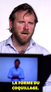 MMC -VERTICALE- 61 - Pourquoi entend on la mer dans les coquillages ?