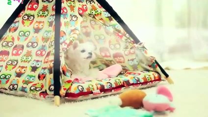 양양출장안마 -후불100%ョO7OW7333W9649｛카톡LGT010｝ 양양전지역출장안마 양양오피걸 양양출장마사지 양양안마 양양출장마사지 양양콜걸샵★●◎