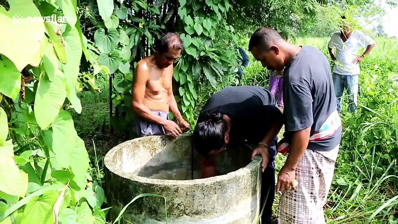 Hapless pet dog rescued from near-drowning in Thai deep well