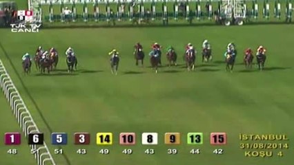 TEKİRDAĞ İNGİLİZ YARIŞ ATI ÇAĞRIBEY'İ ÇALIP KESENLER HER YERDE ARANIYOR-2