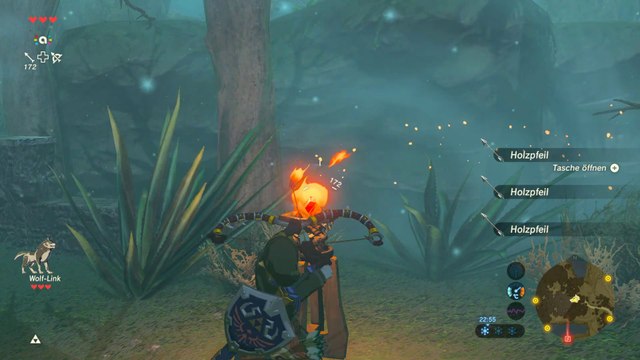 Zelda - Breath of the Wild - unendlich Holzpfeile farmen - BotW