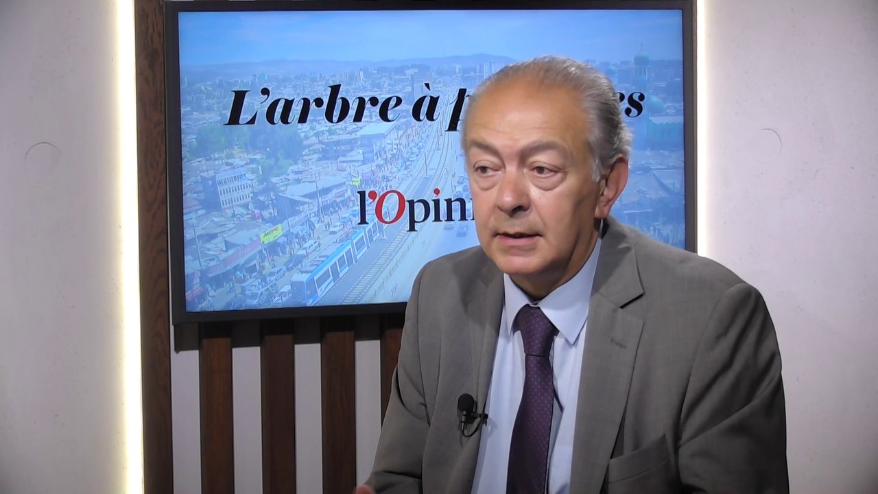 «La concurrence de la Chine est de plus en plus rude» juge Vincent Reina (Chambre de commerce franco-arabe)